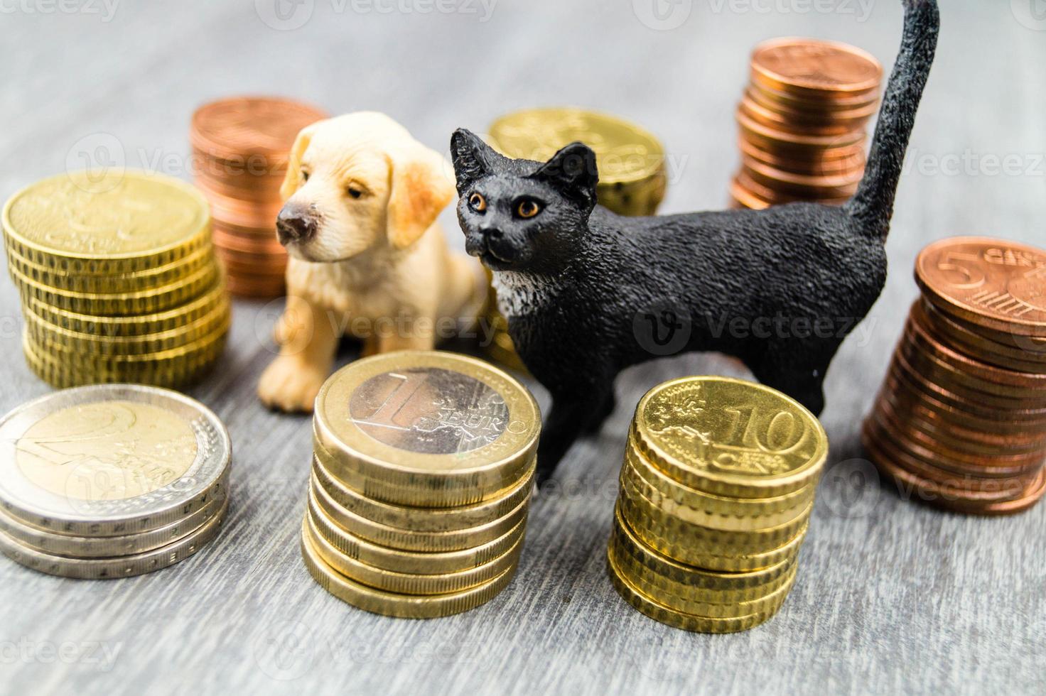 quais são os custos de um animal de estimação foto