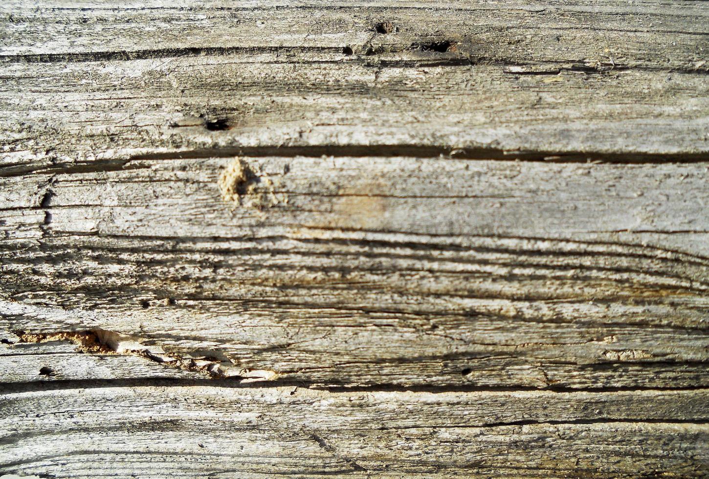 textura de fundo madeira marrom, fratura em close foto