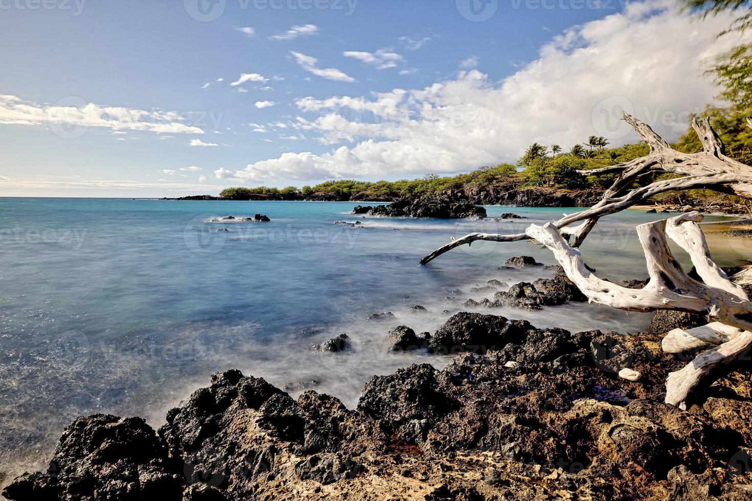 ilha do havaí, praia 67 troncos e mar foto