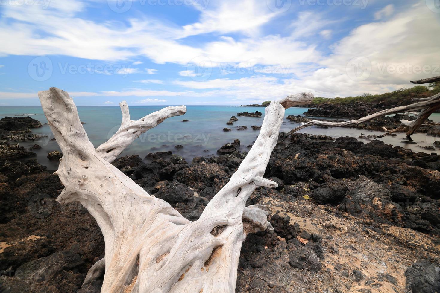 ilha do havaí, praia 67 troncos e mar foto