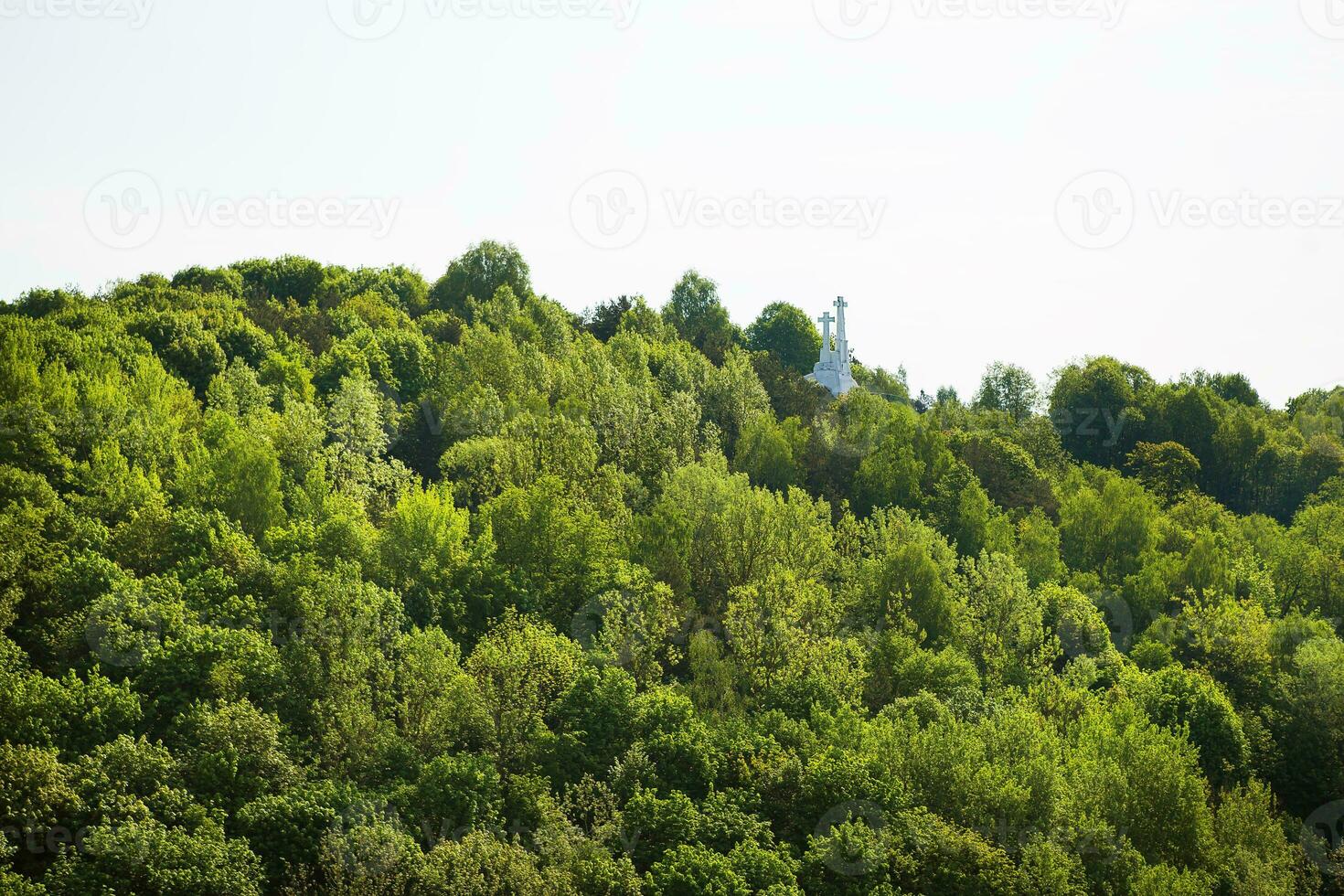 topo Visão do uma verde parque. Vilnius, Lituânia. foto