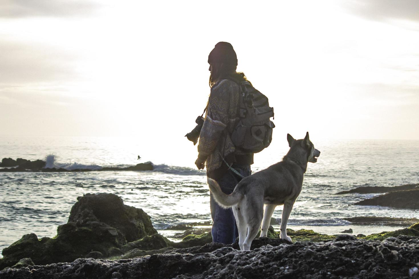 cachorro na praia - newport ca 2018 foto