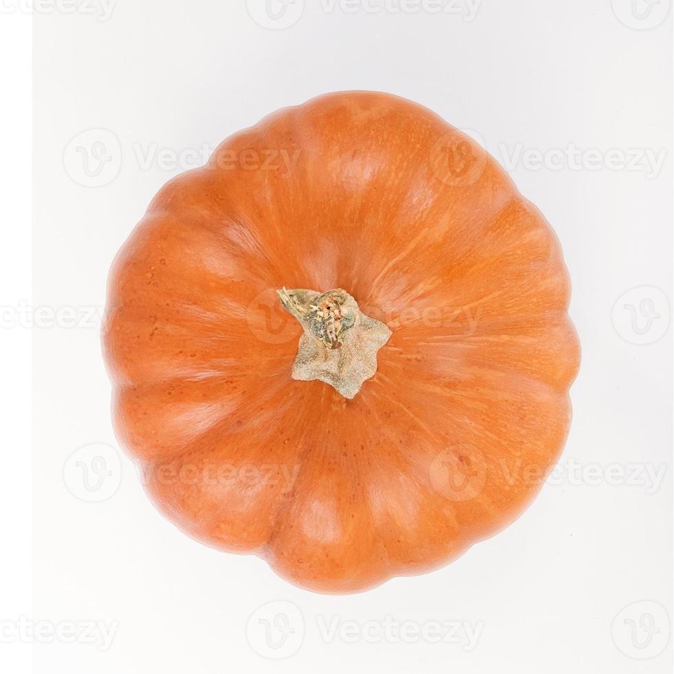 vista superior da abóbora laranja isolada em um fundo branco. foto