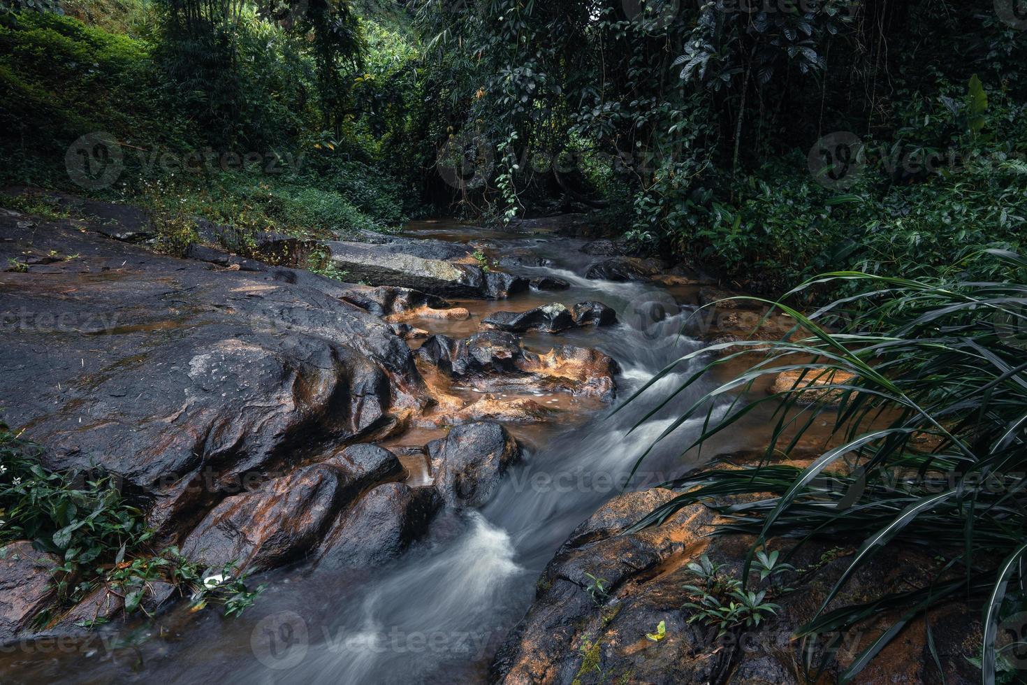 riacho depois da chuva na floresta tropical foto