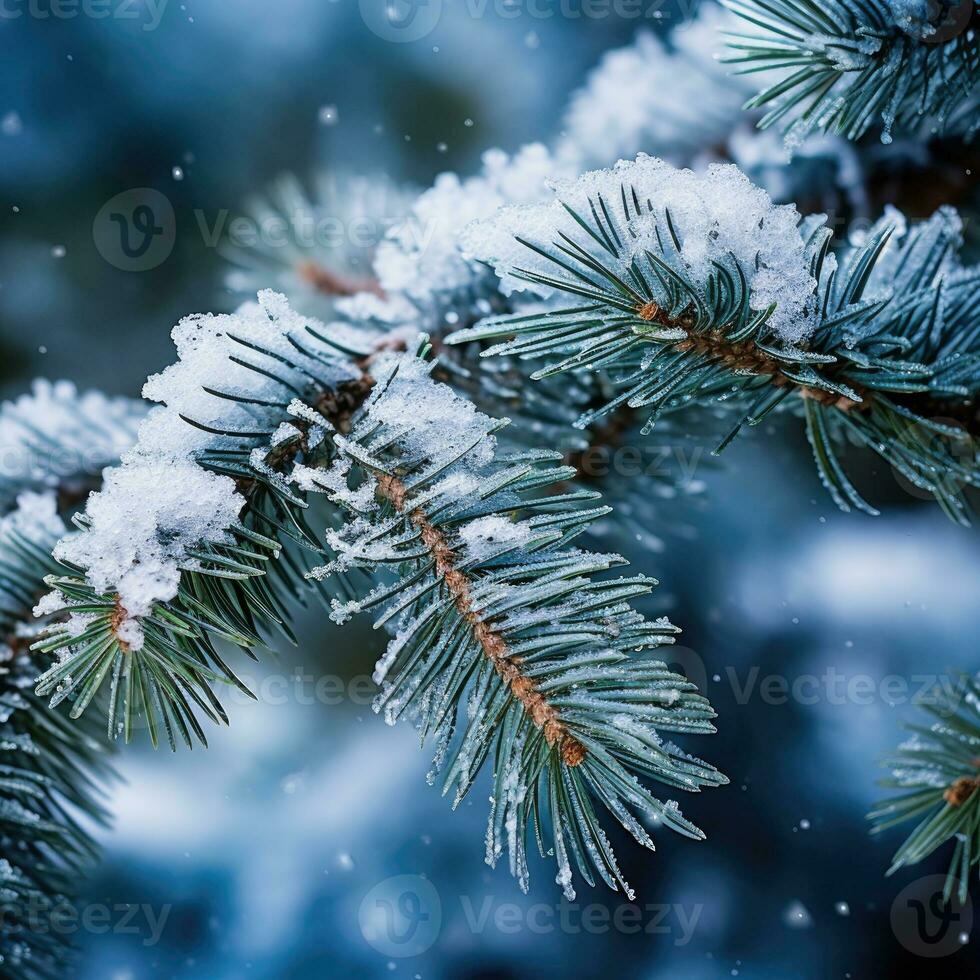 ai generativo abeto árvore galhos coberto com neve e gelo. inverno fundo. foto