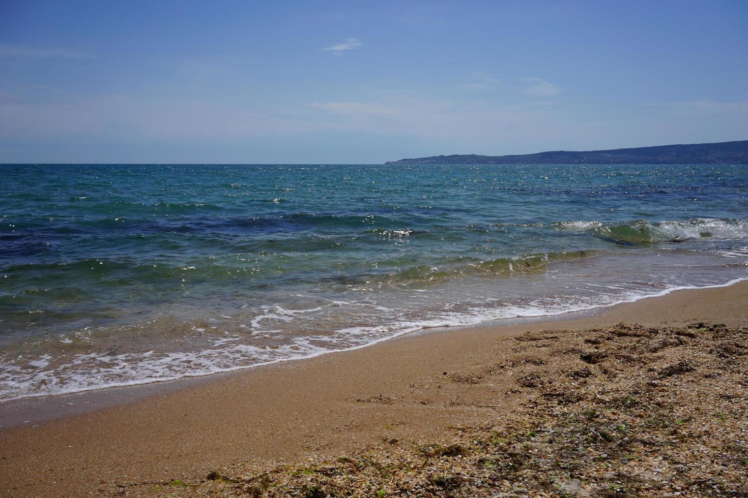 praia dourada com algas no mar azul brilhante foto