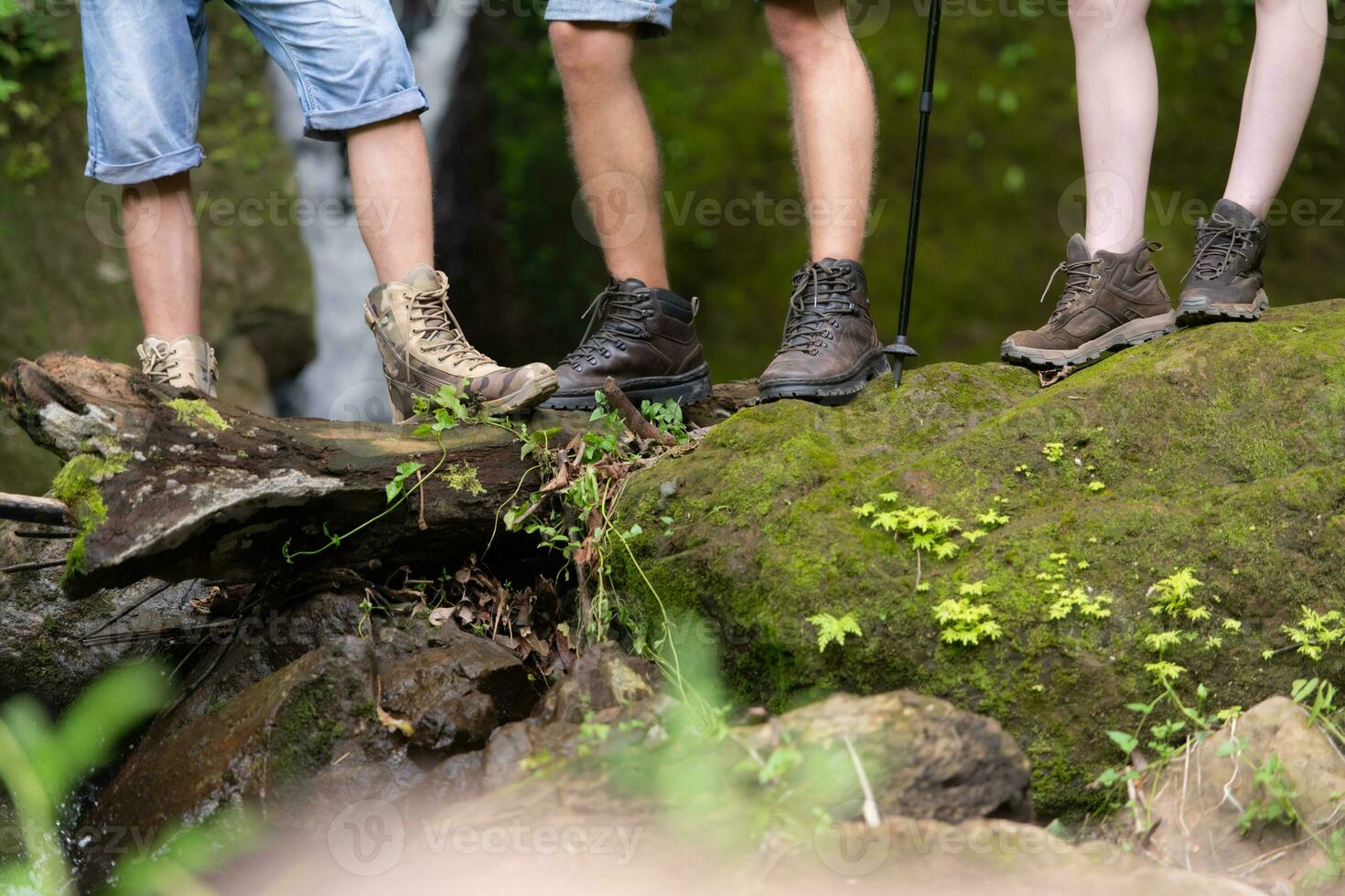 caminhada sapatos em uma registro ou pedras dentro a floresta. foto