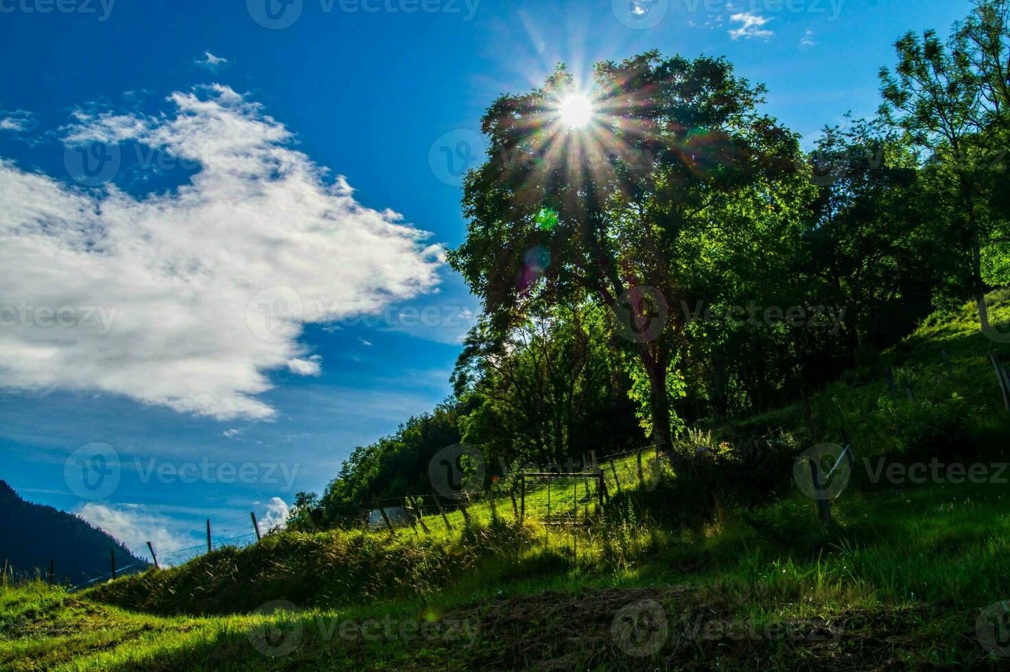 regional natural parque do bugigangas foto