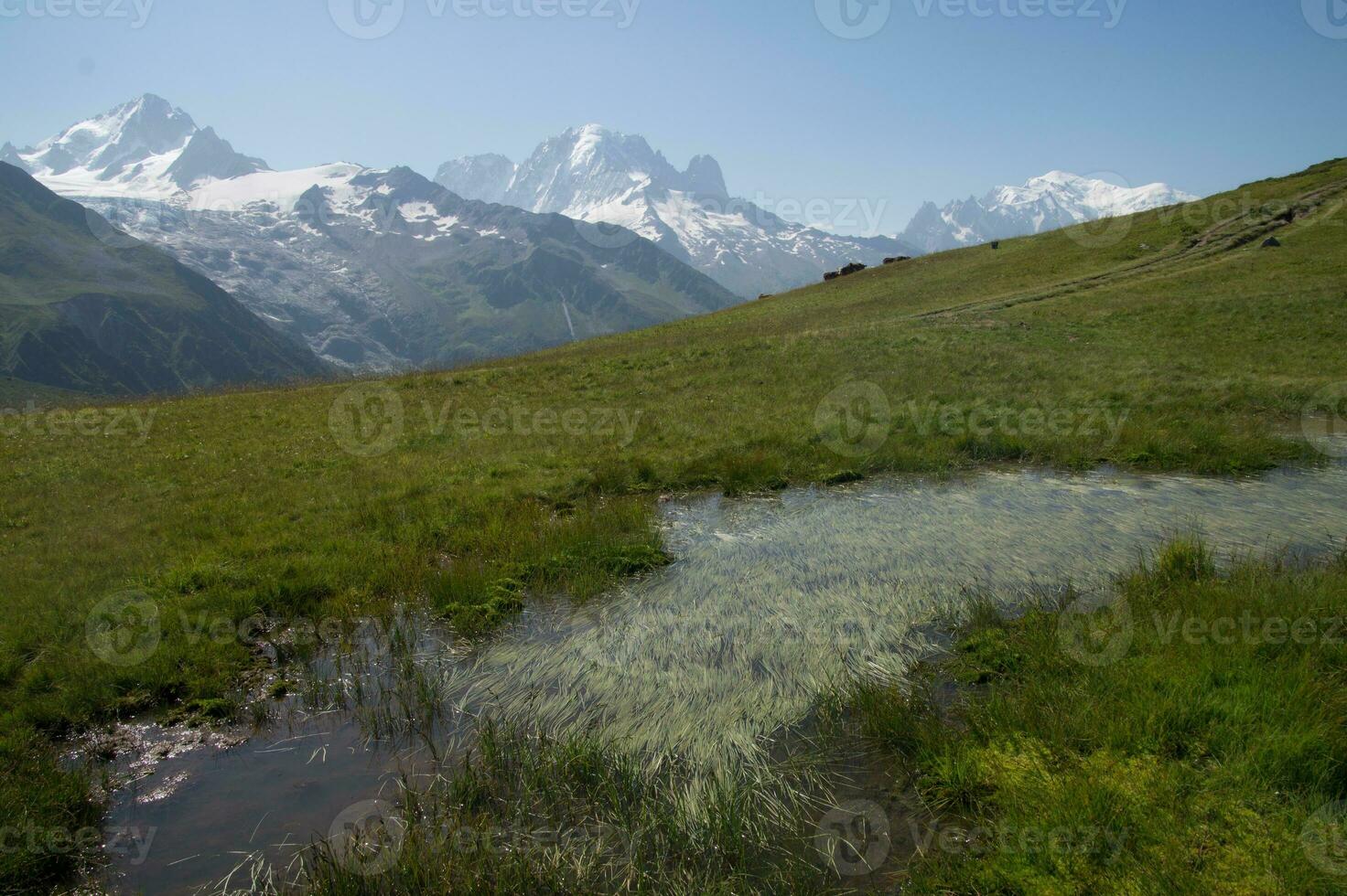 panorama do a Alpes dentro França dentro verão foto