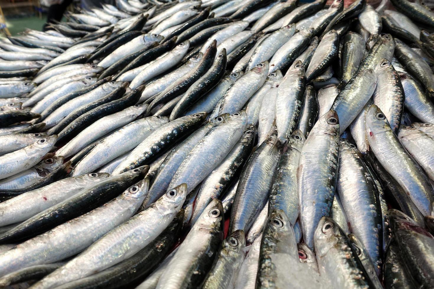 comida de peixe em uma barraca de peixaria foto