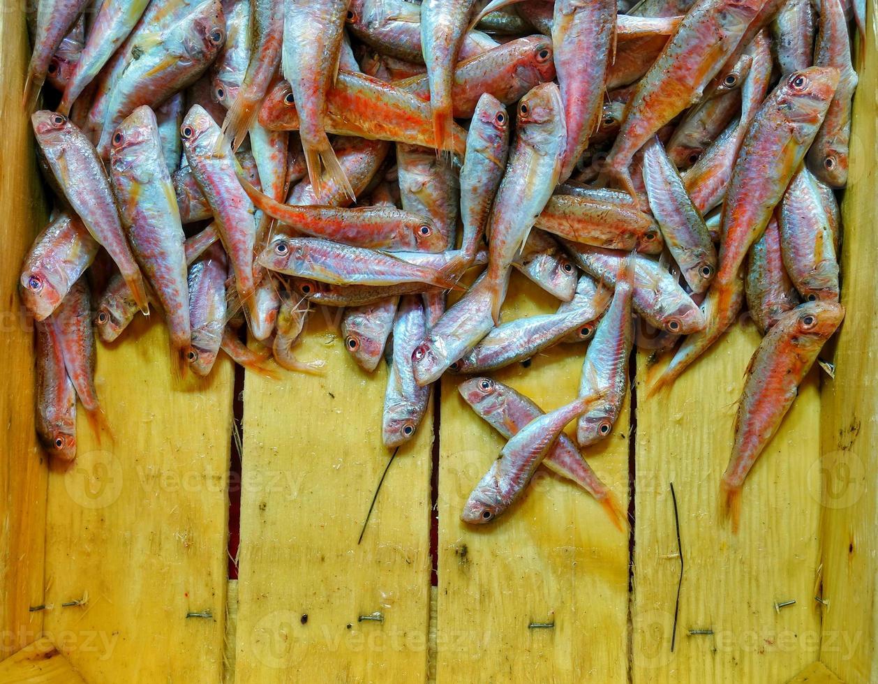 comida de peixe em uma barraca de peixaria foto