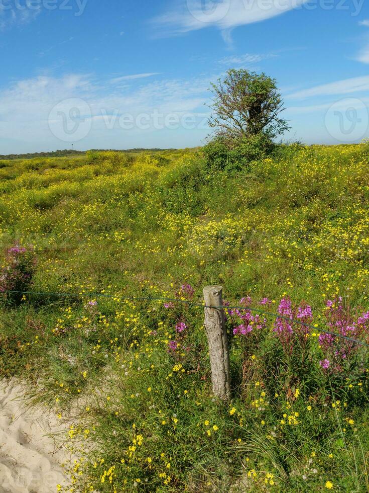 a ilha de langoog foto