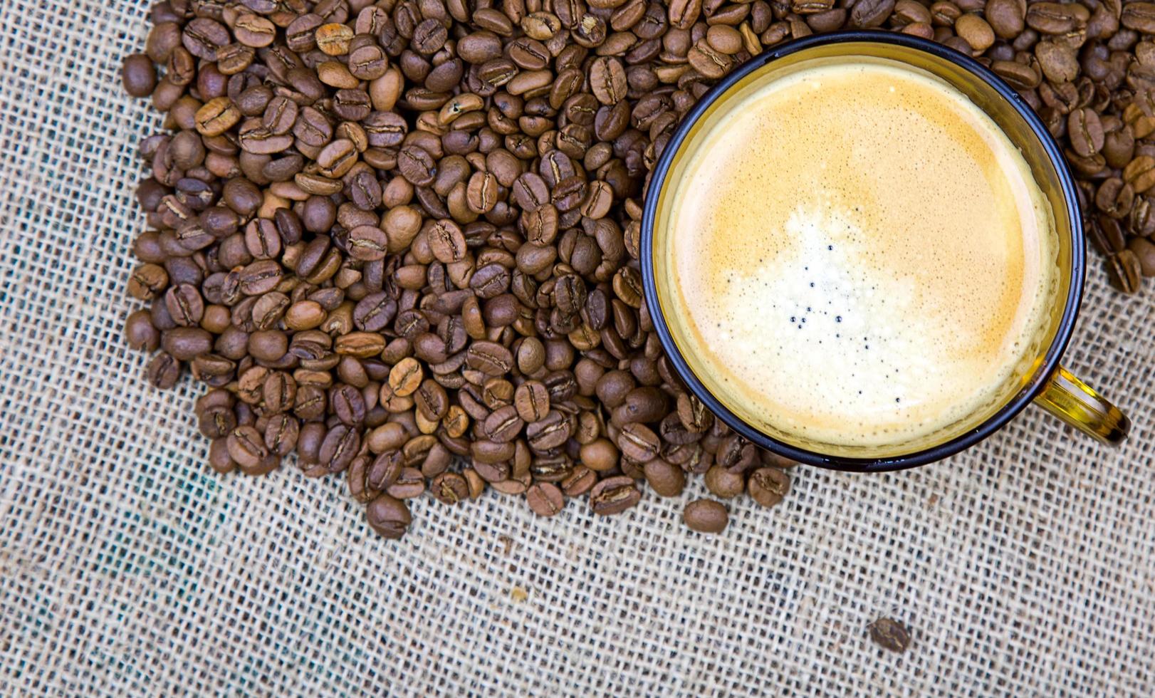 grãos de café torrados naturais foto