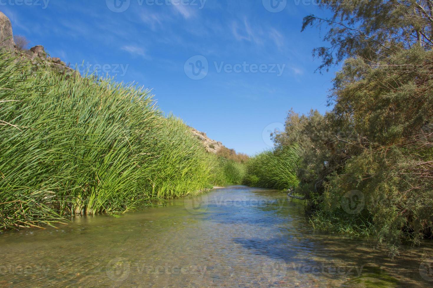 rio arábico em taif, saudiarabia foto