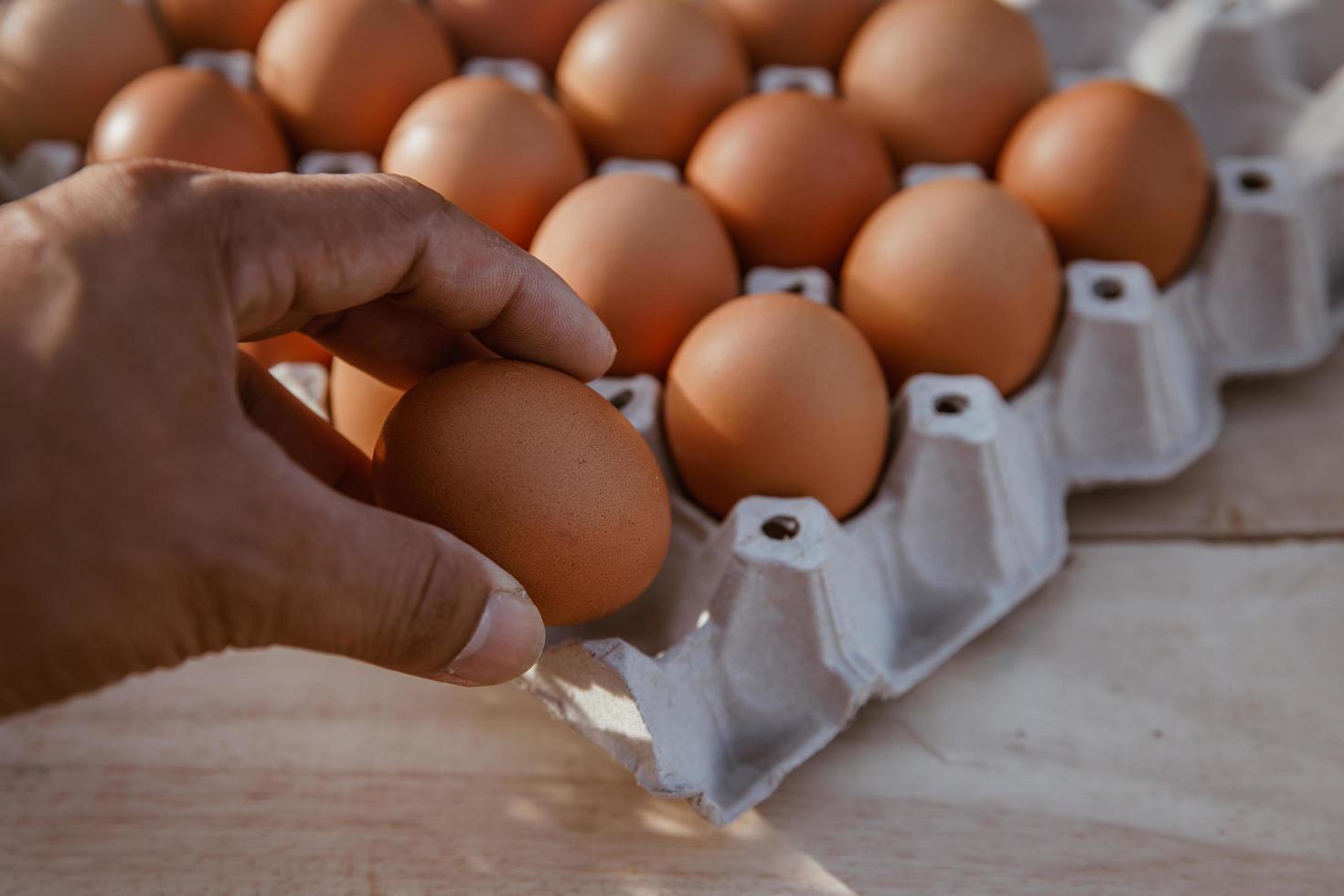 a mão está segurando o ovo na mão recolhida na fazenda. foto