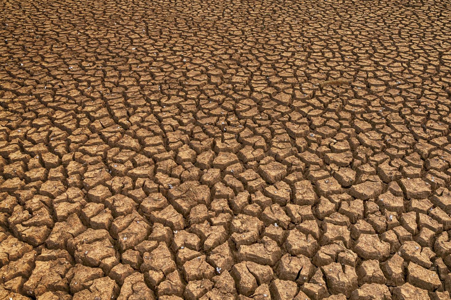 a terra com terra seca e grama coberta pelo aquecimento global foto