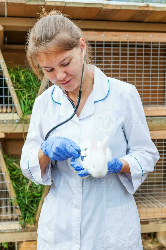 feliz jovem veterinária com estetoscópio segurando e examinando coelho no fundo do rancho. coelho nas mãos do veterinário para check-up na fazenda ecológica natural. cuidados com animais e conceito de agricultura ecológica. foto