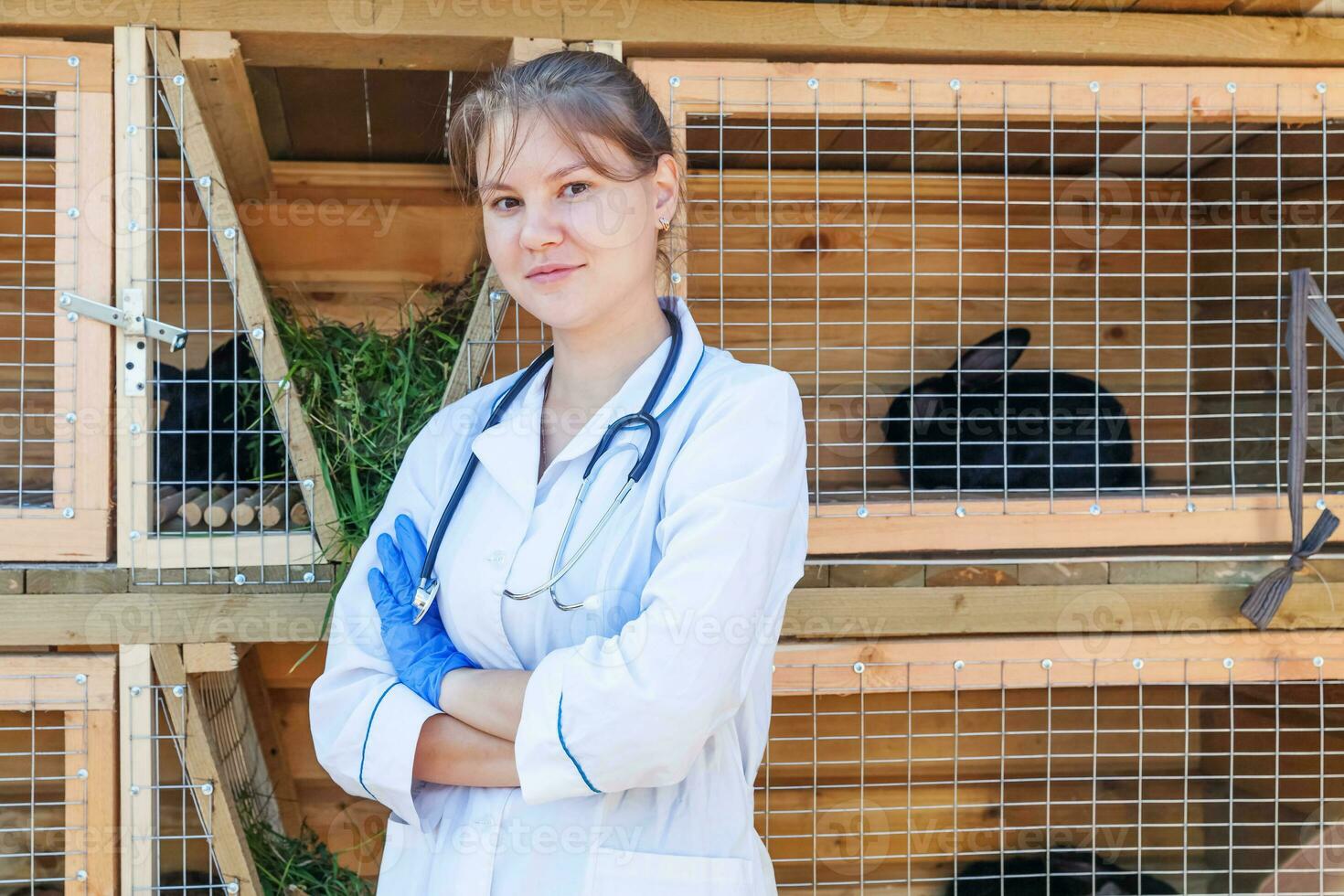 mulher veterinária com estetoscópio no fundo do rancho celeiro. médico veterinário verifica coelho na fazenda ecológica natural. cuidados com os animais e conceito de pecuária ecológica. foto