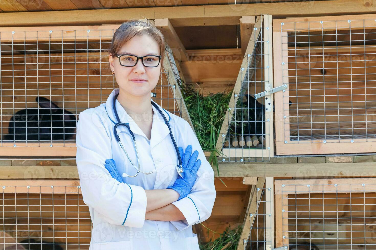 mulher veterinária com estetoscópio no fundo do rancho celeiro. médico veterinário verifica coelho na fazenda ecológica natural. cuidados com os animais e conceito de pecuária ecológica. foto