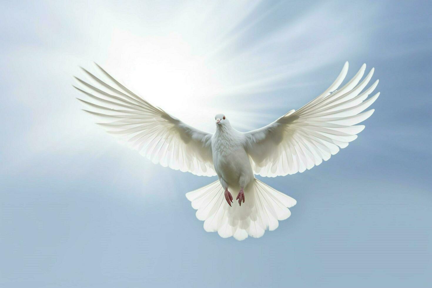 uma branco pomba é vôo dentro a céu com Está asas sp foto