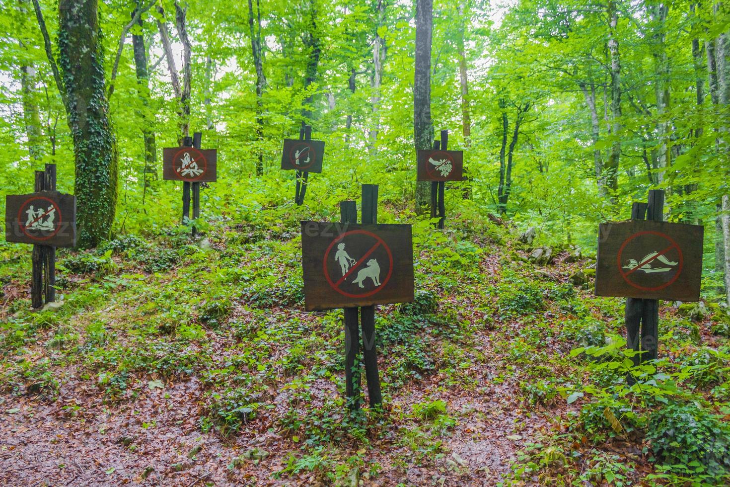 sinais de proibição na croácia do parque nacional de lagos de plitvice da floresta. foto