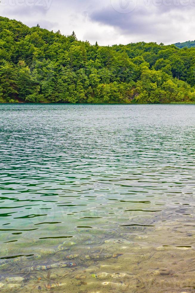 plitvice lakes national park paisagem águas turquesas na croácia. foto