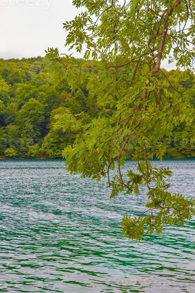 plitvice lakes national park paisagem águas turquesas na croácia. foto