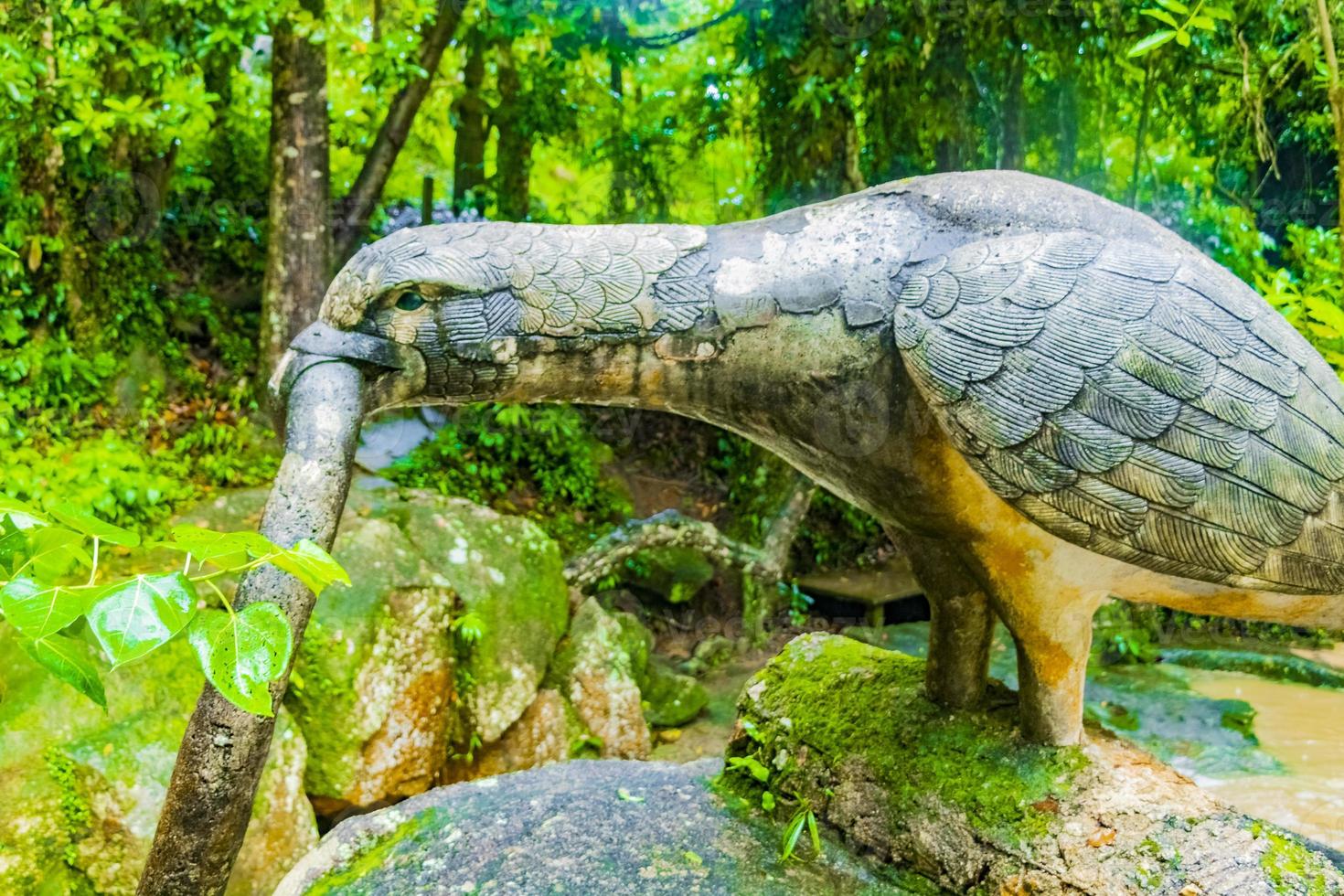 águia tar nim cachoeira jardim mágico secreto koh samui Tailândia. foto