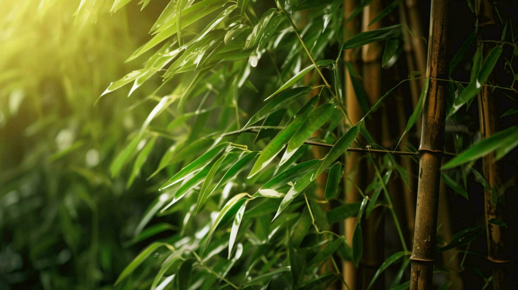 bambu é uma plantar este é usava dentro muitos maneiras foto