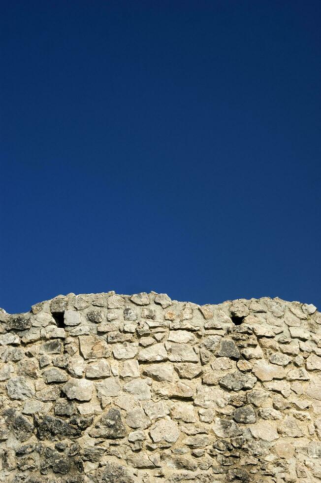 uma pedra parede com uma ampla pássaro em isto foto