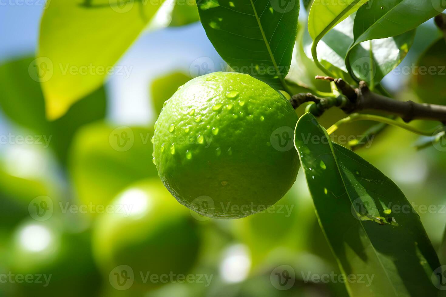 Lima fruta em árvore com seletivo foco, ai generativo foto