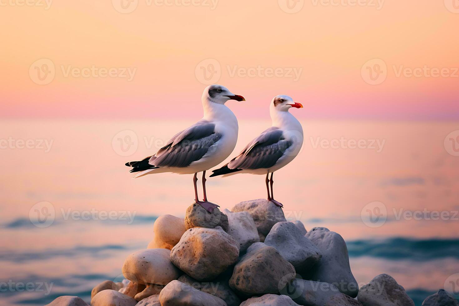 gaivotas sentado em uma Rocha dentro frente do uma rosa, ai generativo céu foto