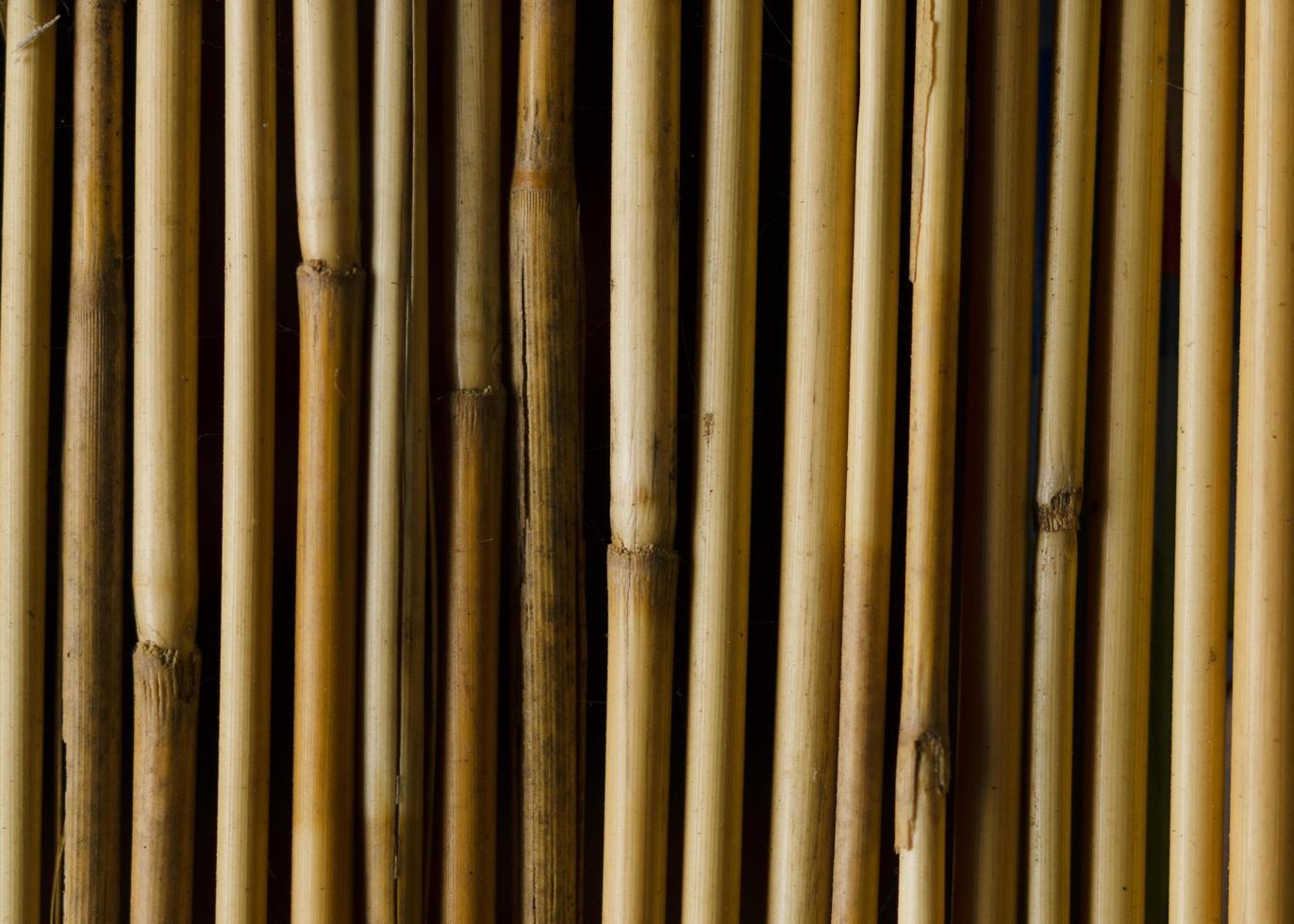 close-up de fundos de padrão de textura de bambu foto