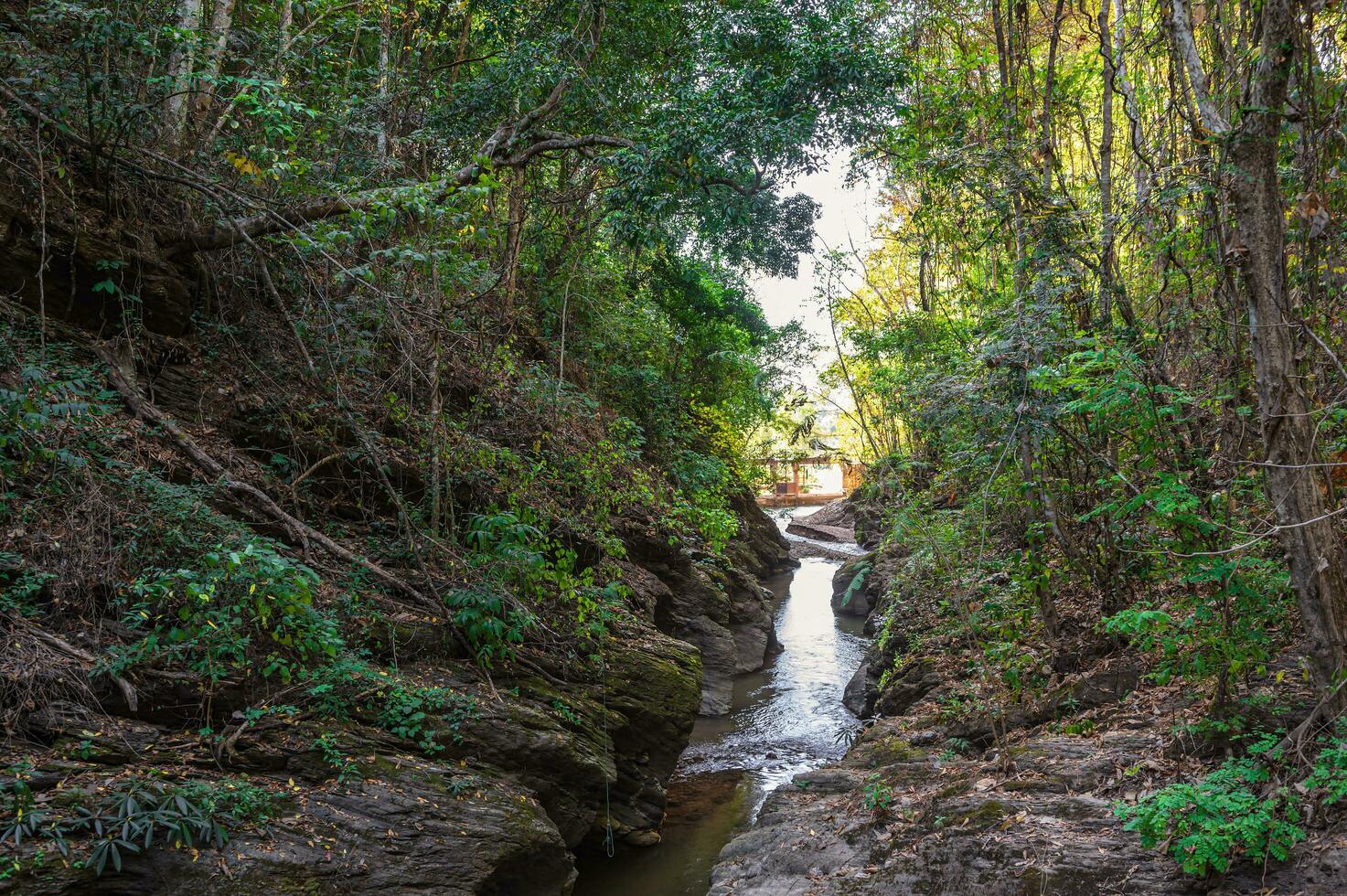 panorama Visão do wang sila lang desfiladeiro às pua distrito nan.nan é uma rural província dentro norte Tailândia limítrofe Laos foto