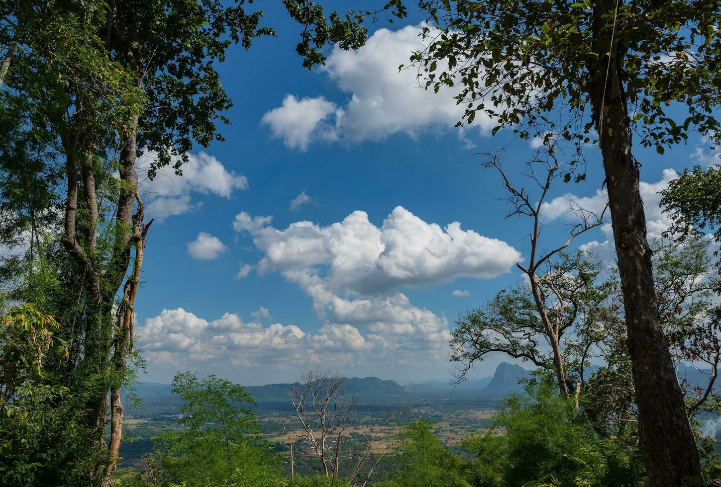 bela paisagem vista do parque nacional de montanha de phu kradueng na cidade de loei tailândia. parque nacional de montanha de phu kradueng o famoso destino de viagem foto