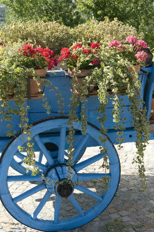 uma azul carrinho com flores foto