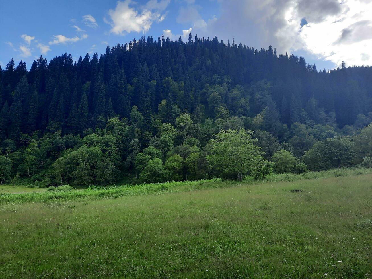 cênico Visão do a natural beleza do tao bunda, Neelum vale, caxemira. tao bunda é famoso para Está exuberante verde árvores e natural beleza. foto