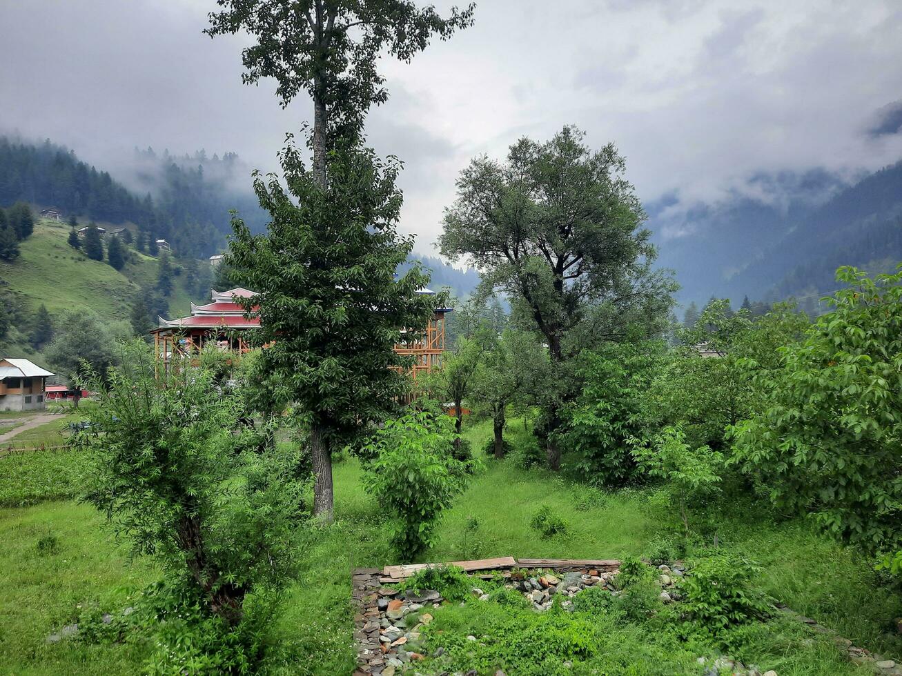 cênico Visão do a natural beleza do tao bunda, Neelum vale, caxemira. tao bunda é famoso para Está exuberante verde árvores e natural beleza. foto