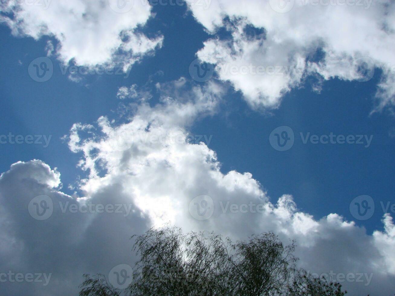 natural fundo. lindo volta quadro, Armação formado de árvore coroas. nublado azul céu. ensolarado verão dia foto