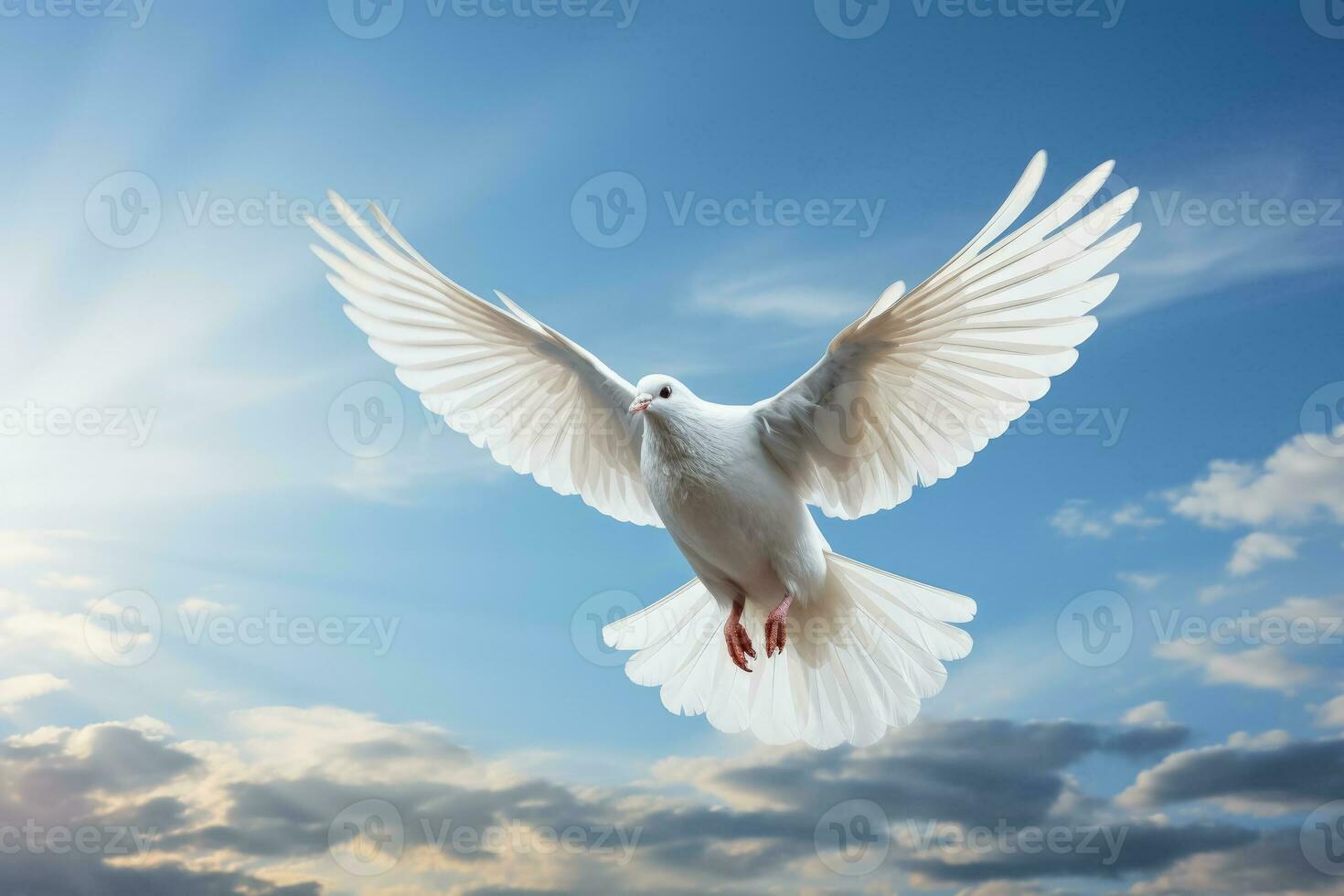 branco pomba sobe contra pacífico céu simbolizando divino celestial mensagens foto