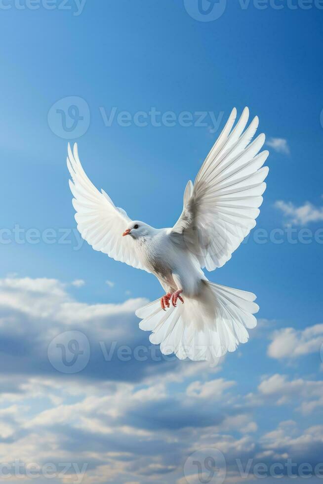 branco pomba subindo dentro sereno azul céu fundo com esvaziar espaço para texto foto