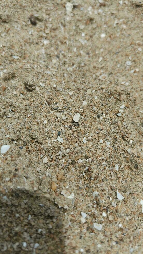 fotografia, textura do areia, de praia. pegadas dentro a areia, uma beira-mar recorrer, a ilha. você pode usar foto