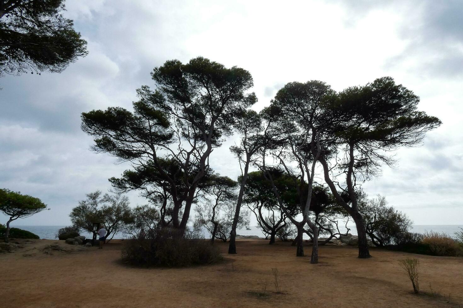 costa brava e caminho costeiro ao longo da costa acidentada do norte da catalunha, espanha foto