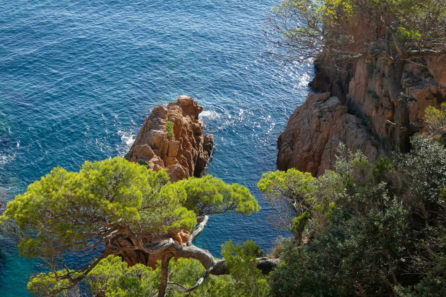 costa brava e caminho costeiro ao longo da costa acidentada do norte da catalunha, espanha foto