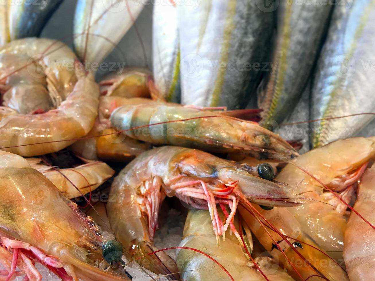 peixes crus de frutos do mar frescos no gelo foto