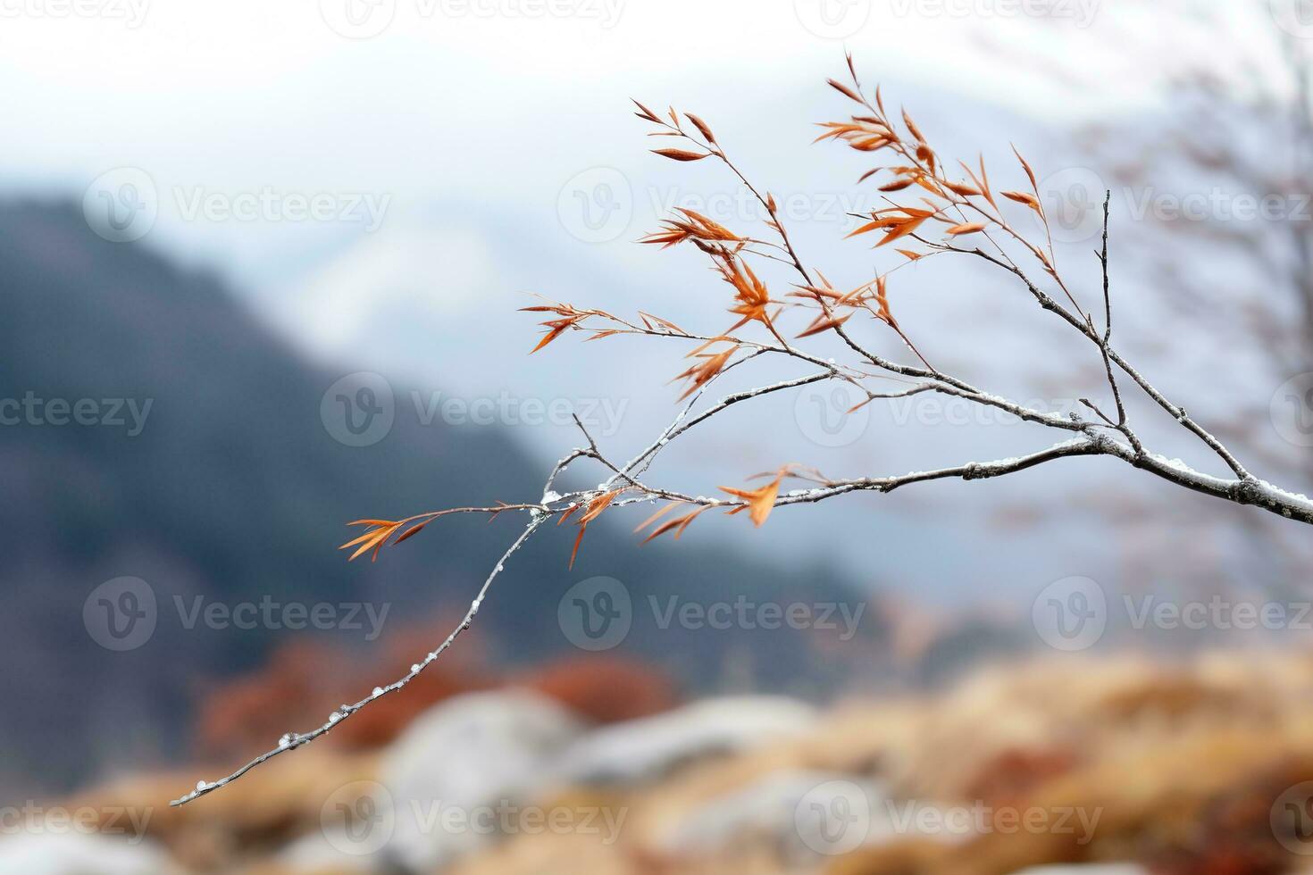 □ Gentil montanha floresta brisa, Nevado céu pano de fundo, balançando inverno plantas, e sereno galhos dentro uma tranquilo natural cena. generativo ai foto