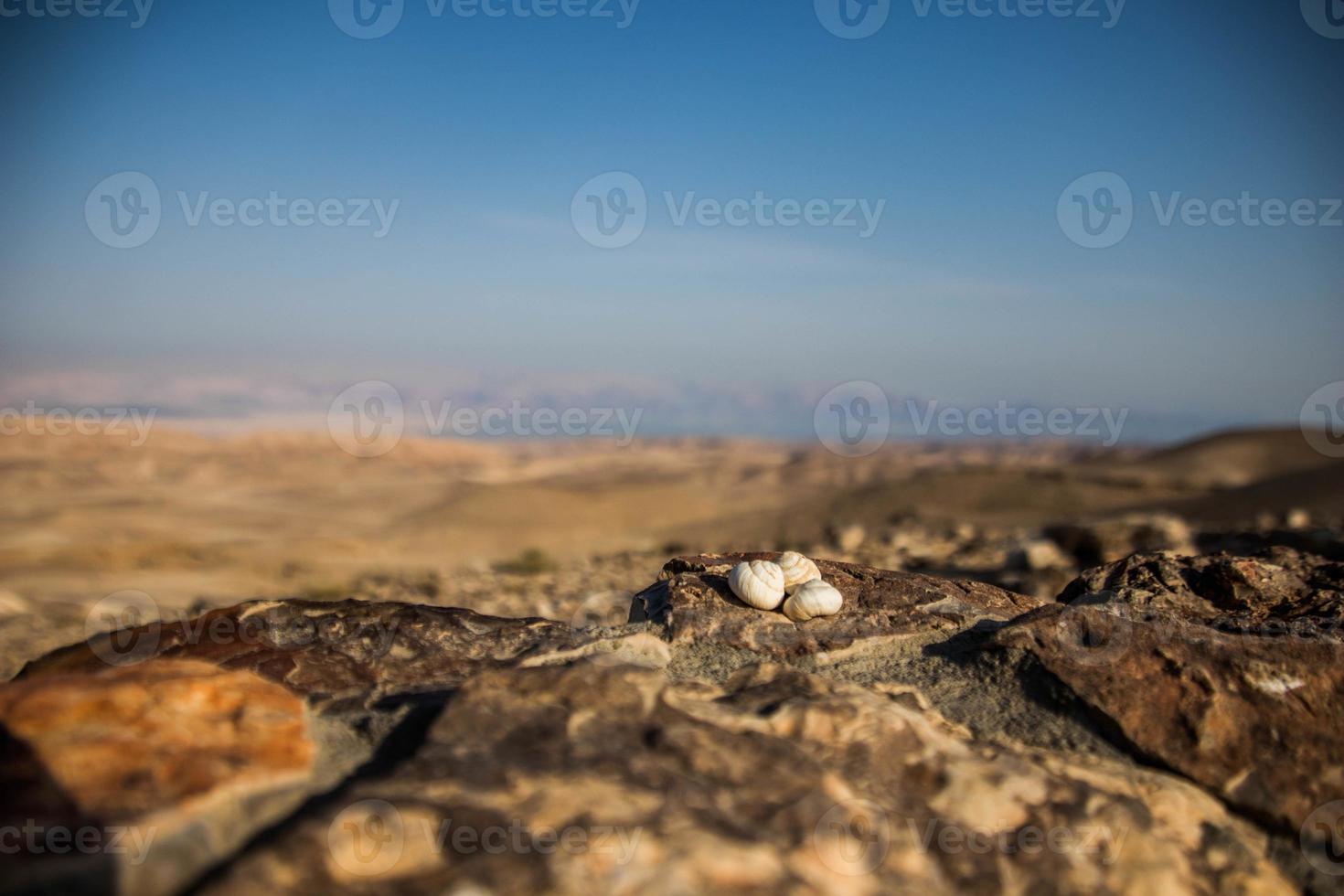 vista do deserto do deserto da Judéia, Israel foto