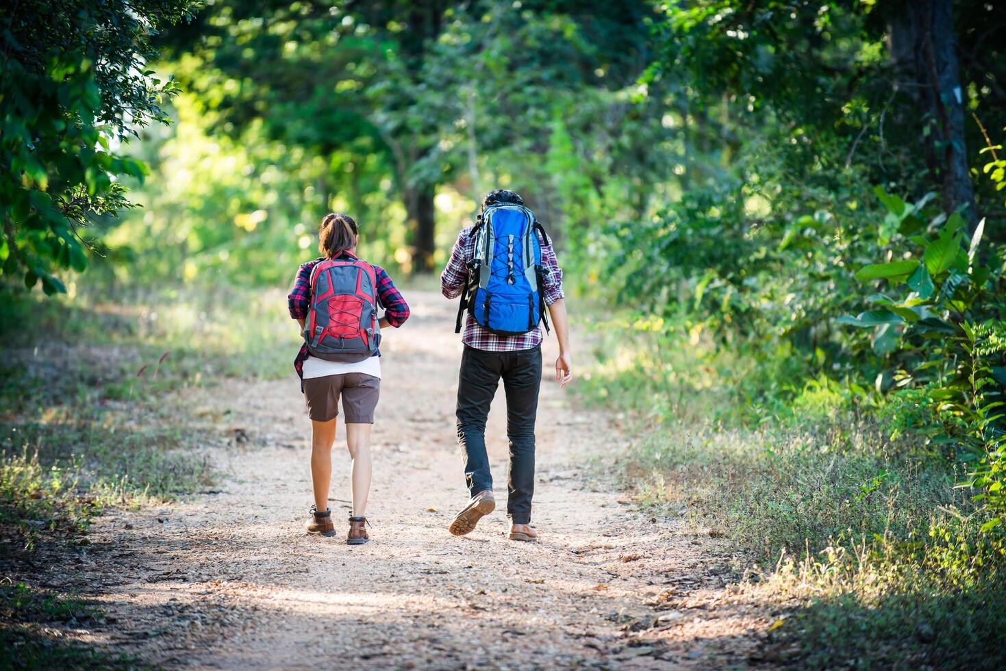 jovem casal andando com mochilas na floresta. caminhadas de aventura. foto