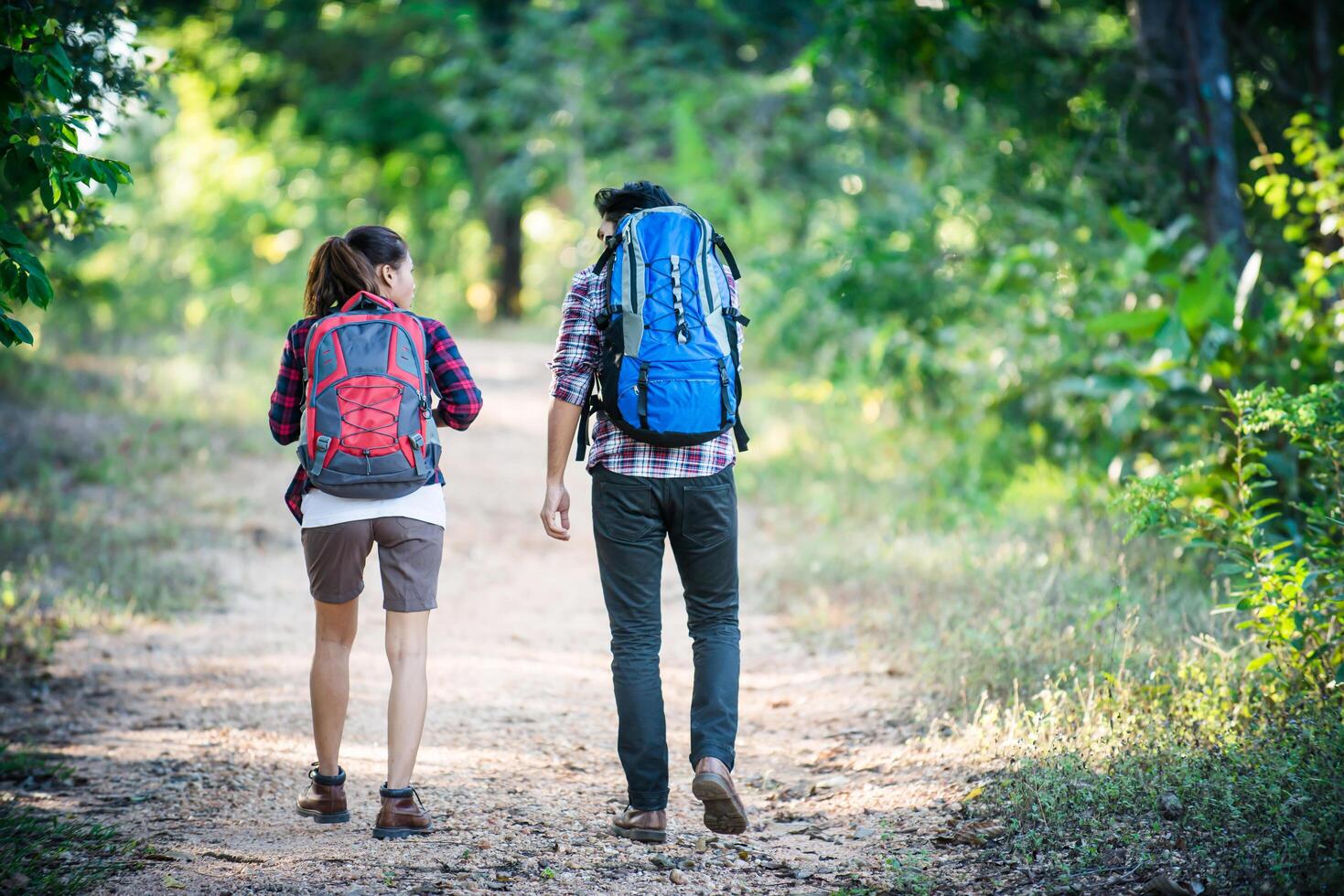 jovem casal andando com mochilas na floresta. caminhadas de aventura. foto