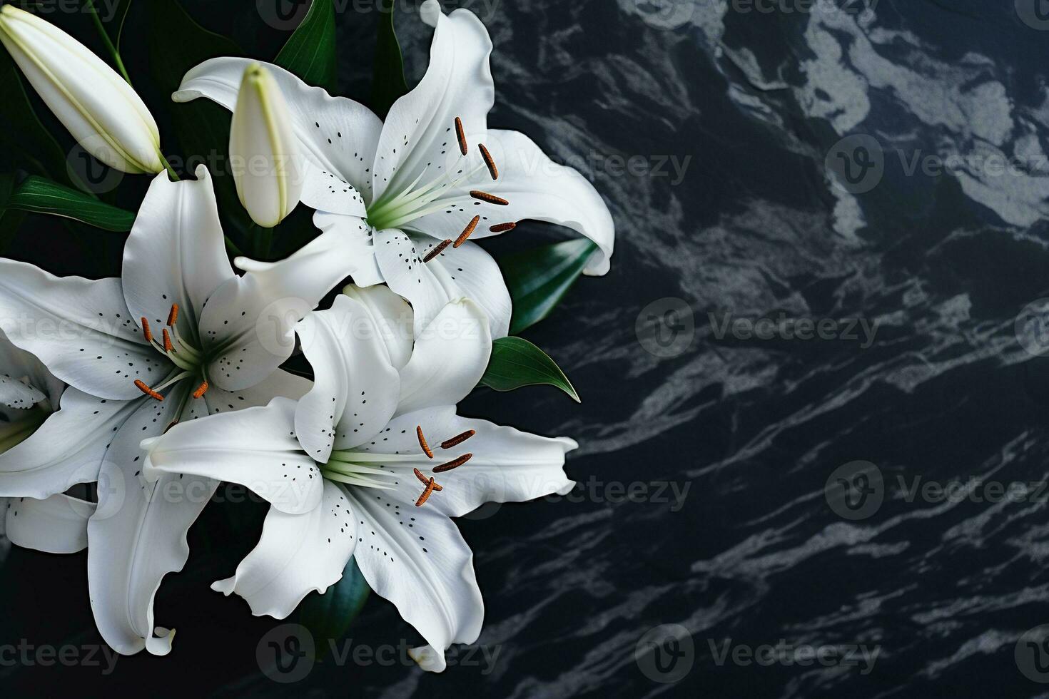 lindo branco lírio flores em Preto fundo com cópia de espaço.funeral conceito ai gerado foto